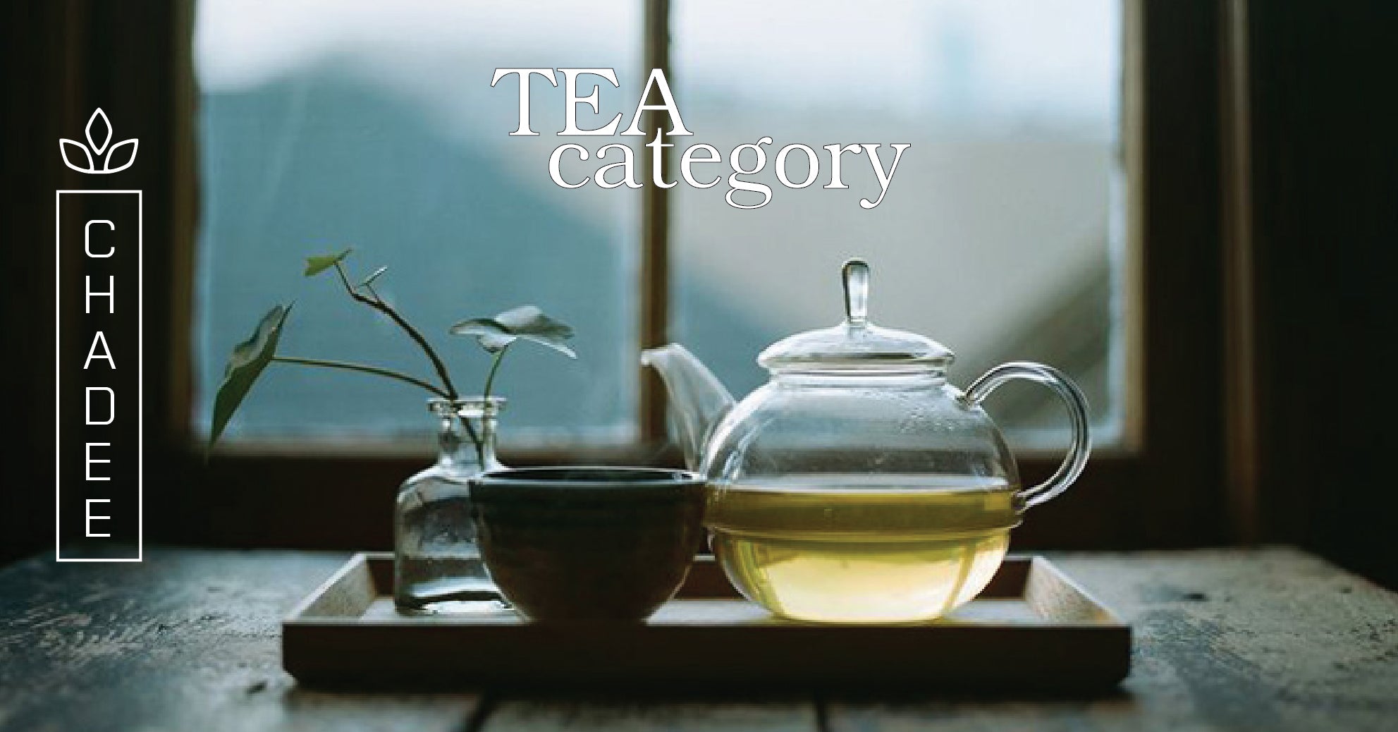 มาทำความรู้จักประเภทของชาแต่ละชนิดกัน – Northlandtea