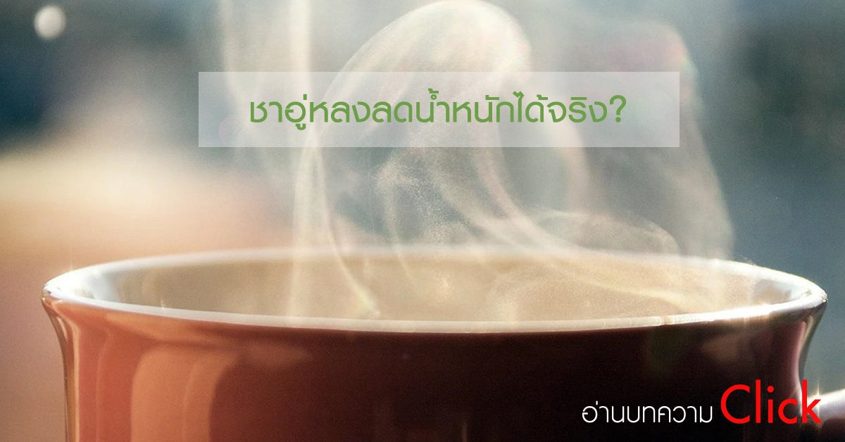 ชาอู่หลงลดน้ำหนักได้จริง ?