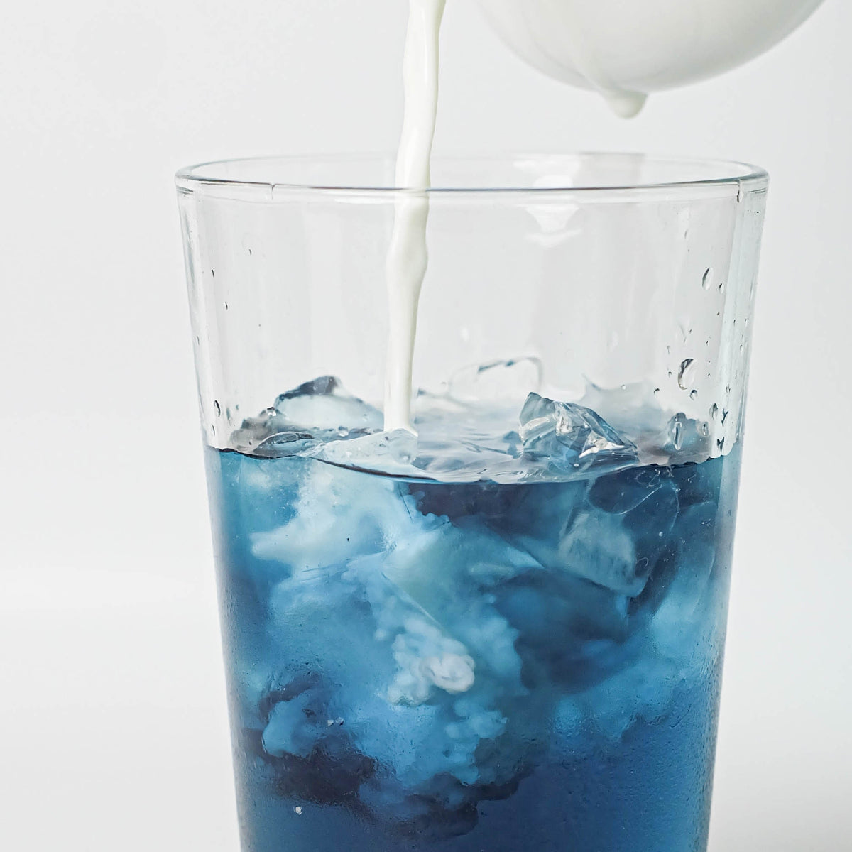 Tea Wholesale: Organic Butterfly Pea Tea