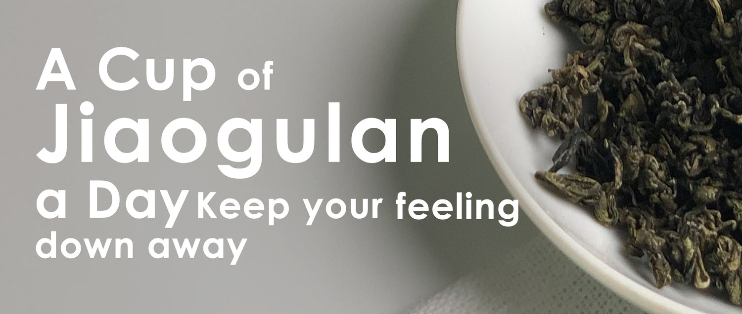 A Cup of Jiaogulan a Day Keep Your Feeling Down Away