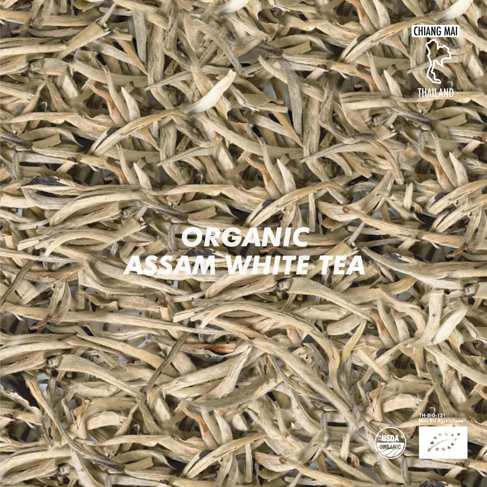 Organic Assam White Tea 50 g (1.76 oz)